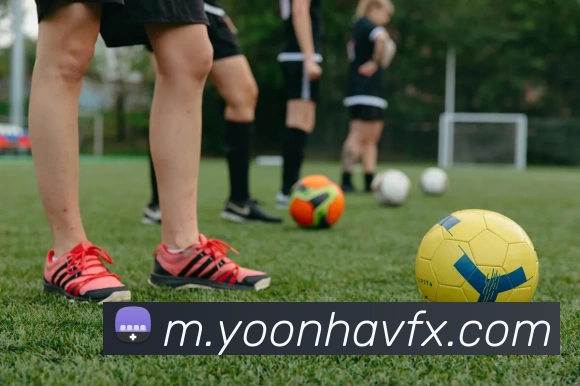 奖项证书